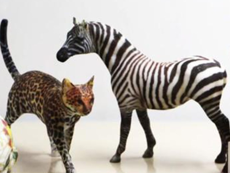 Trang trí bề mặt 3D với công nghệ in chuyển&nbsp;nước